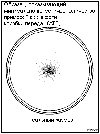 Осмотр